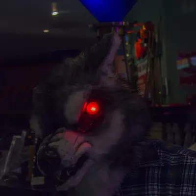 fsb-7.jpg of cons/Fursuitbowlen-Wiesbaden-2013/