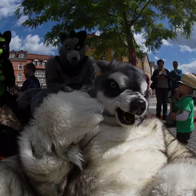 IMG_8766.jpg of cons/Fursuitwalk-Coburg-2014/
