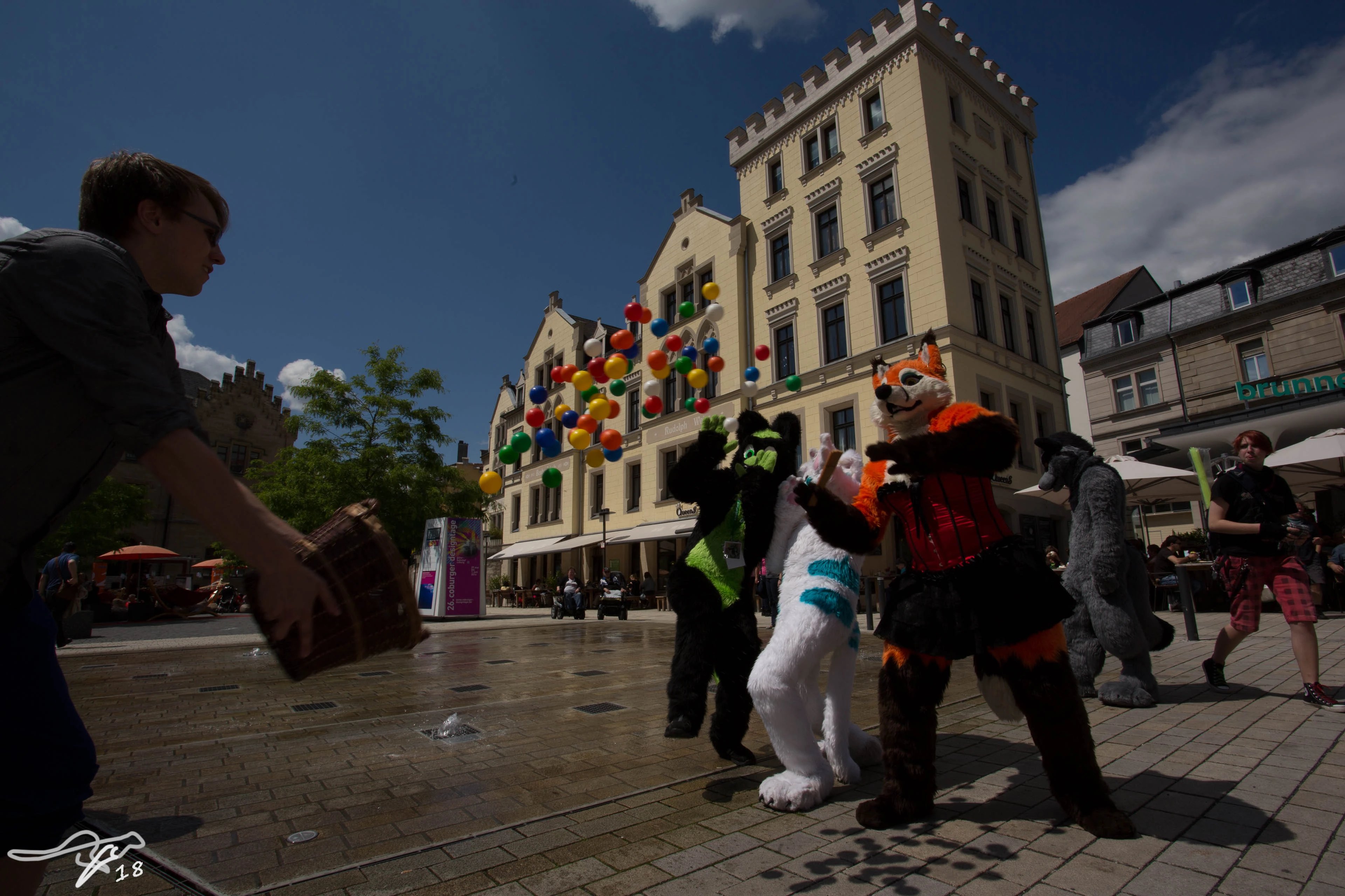 full image IMG_8689.jpg