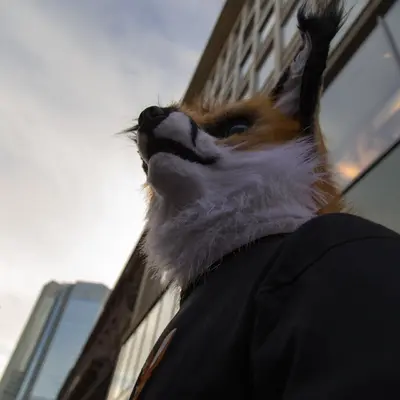Next album: random