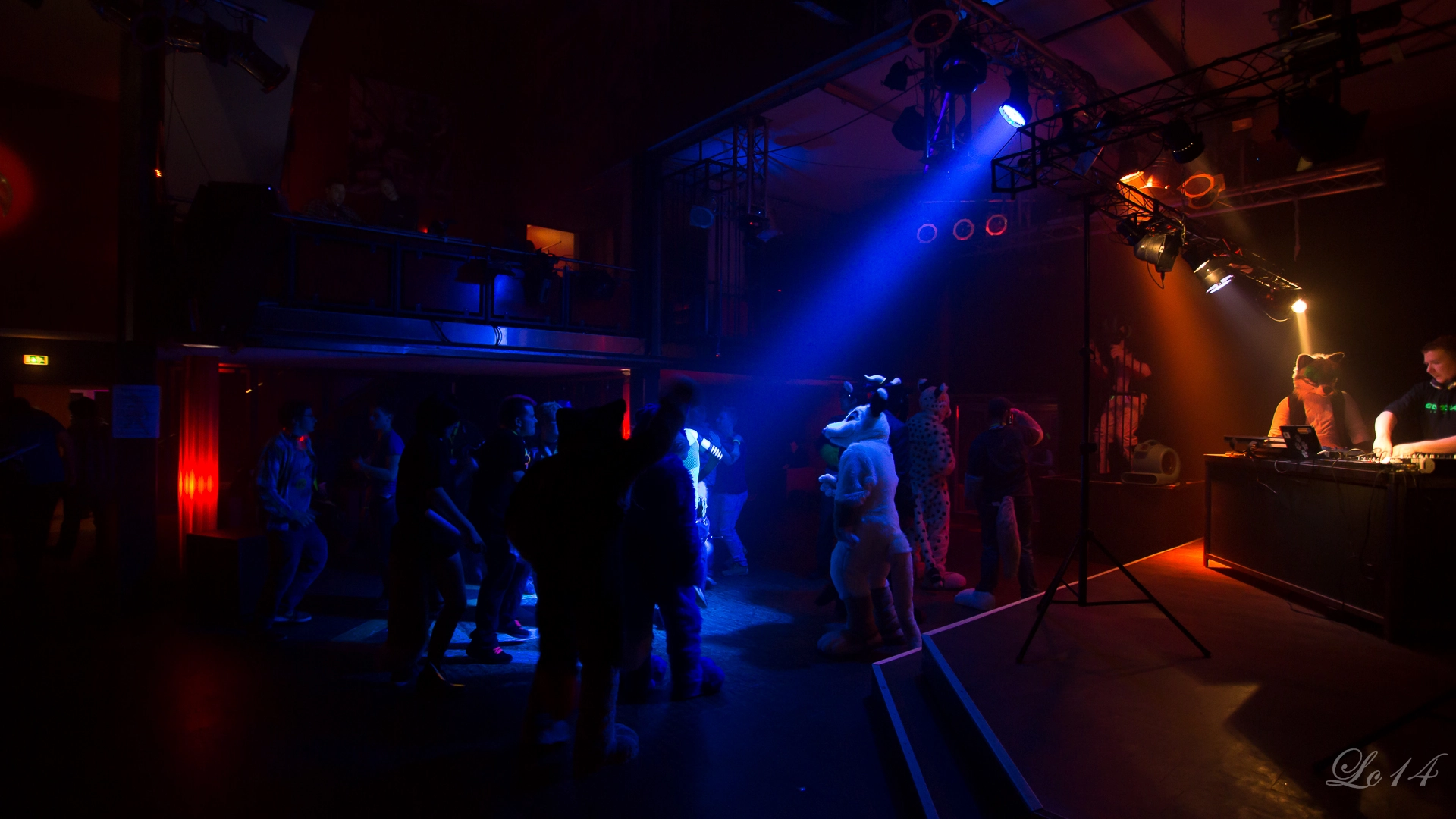 full image nfd4-41.jpg