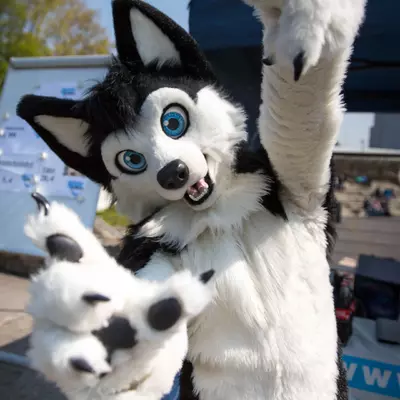 3B9C6320.jpg of cons/Fursuit-Bungeejumping-2016/