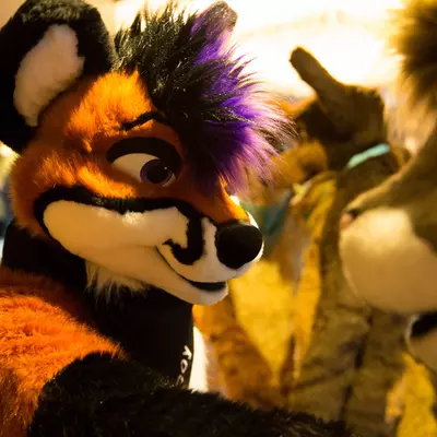 3B9C0069.jpg of cons/MFF-2018/