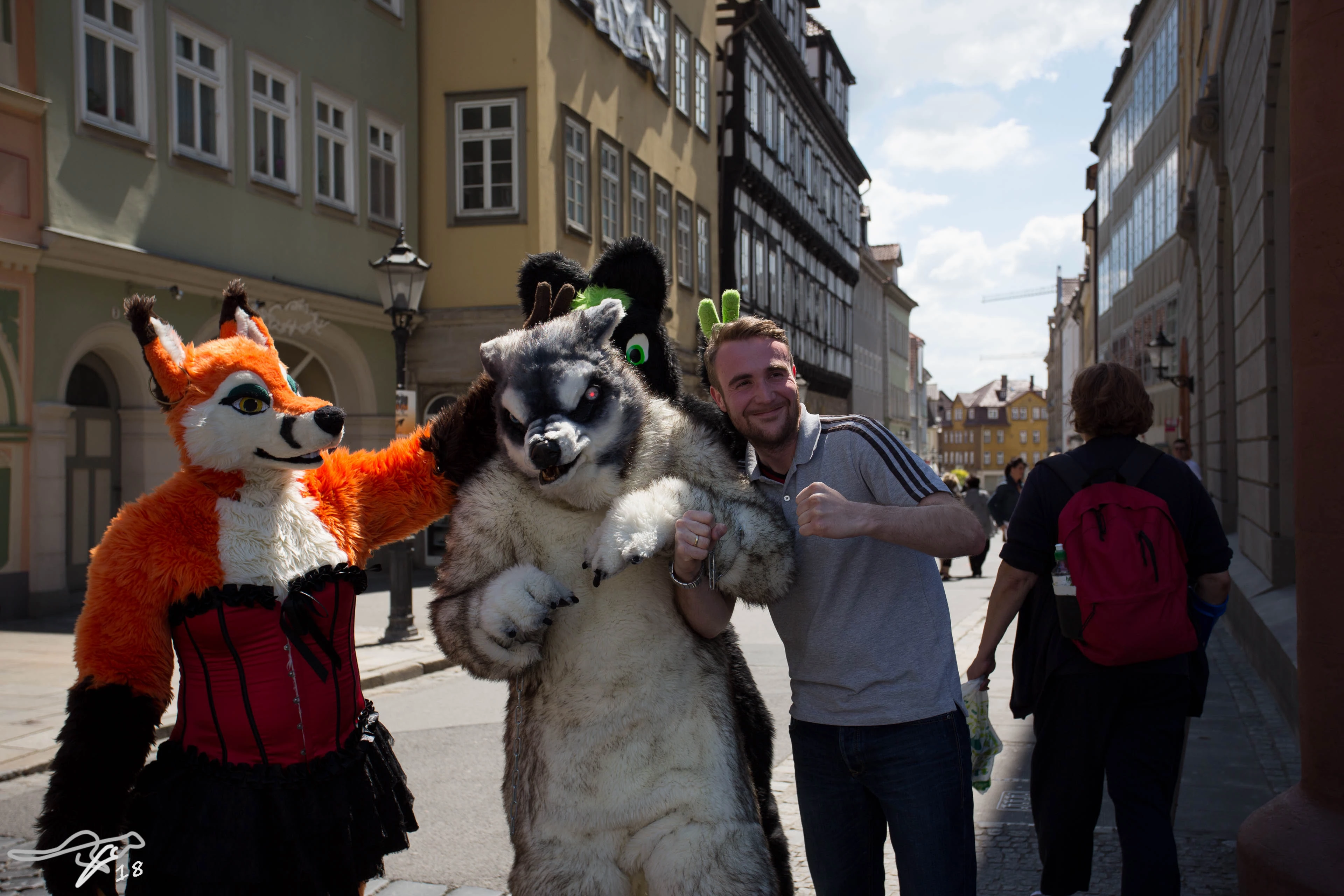 full image IMG_8604.jpg