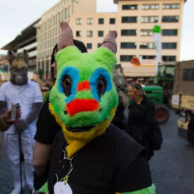 img-27.jpg of cons/Fursuitwalk-Frankfurt-2013/