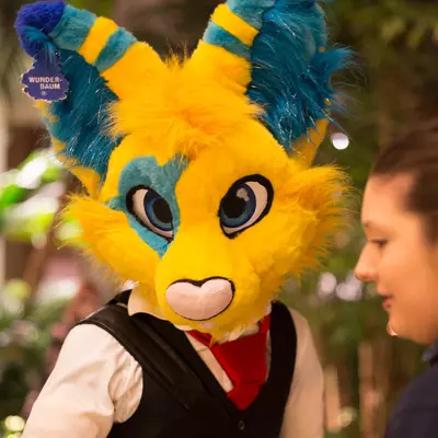 3B9C0616.jpg of cons/NFC-2017/