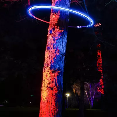 wl-5.jpg of dslr/2019 Winterleuchten/