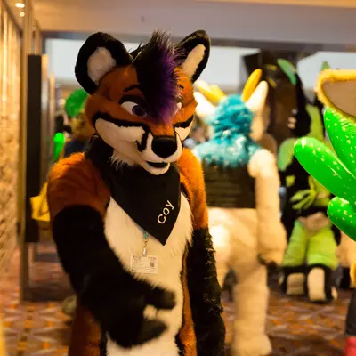 3B9C0064.jpg of cons/MFF-2018/
