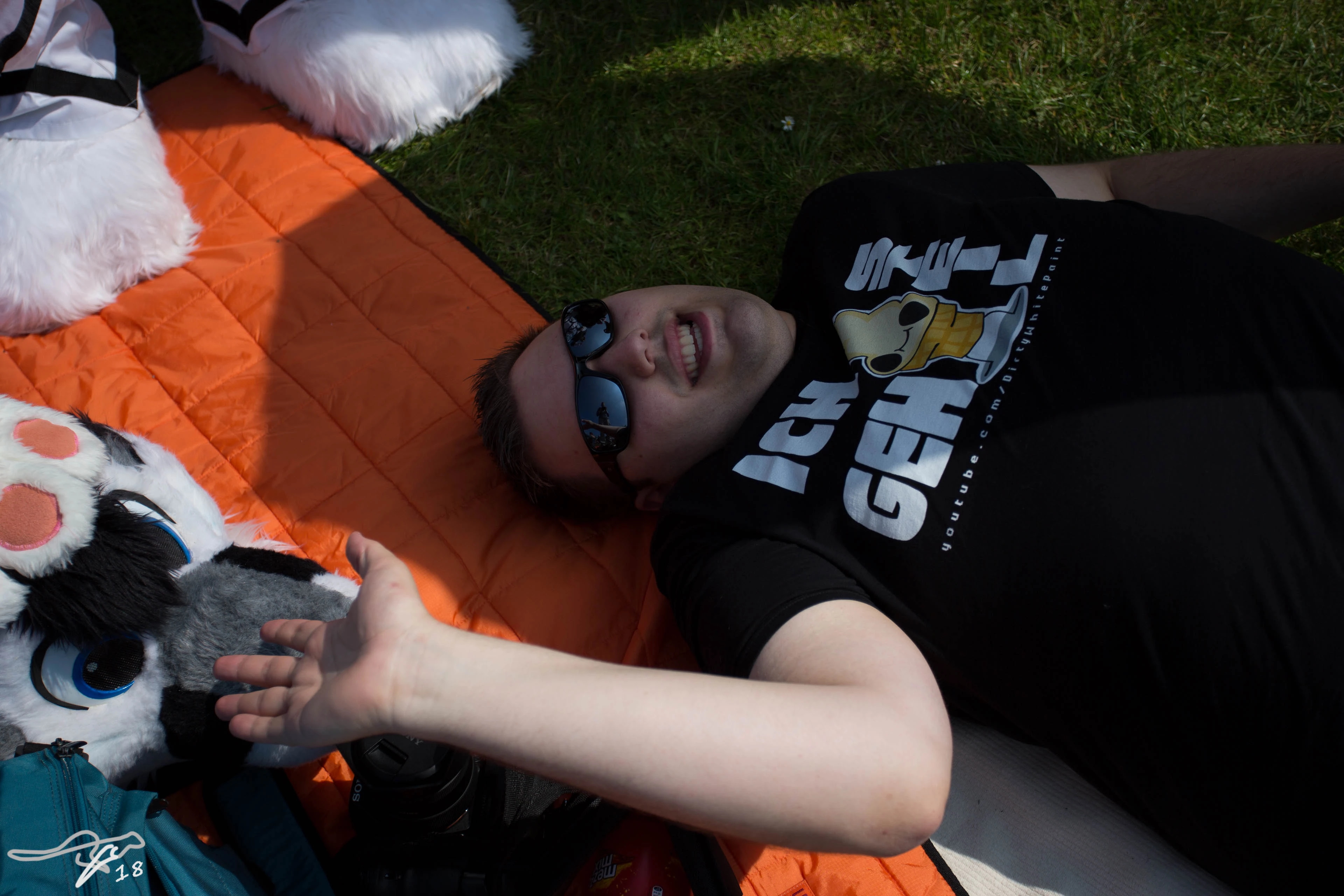full image IMG_8050.jpg