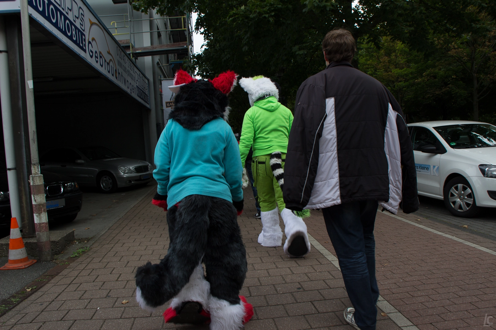 full image img-8.jpg