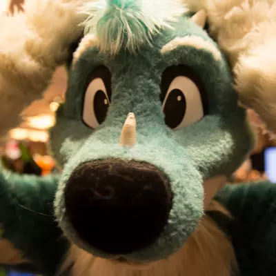 3B9C0130.jpg of cons/MFF-2018/