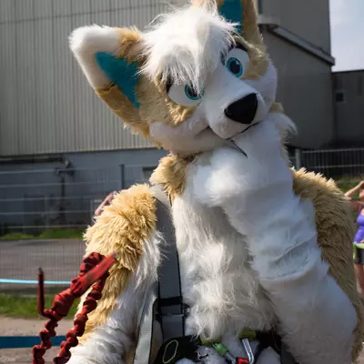 3B9C6376.jpg of cons/Fursuit-Bungeejumping-2016/