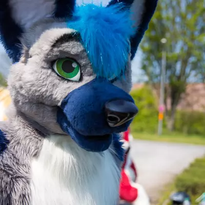 3B9C6463.jpg of cons/Fursuit-Bungeejumping-2016/
