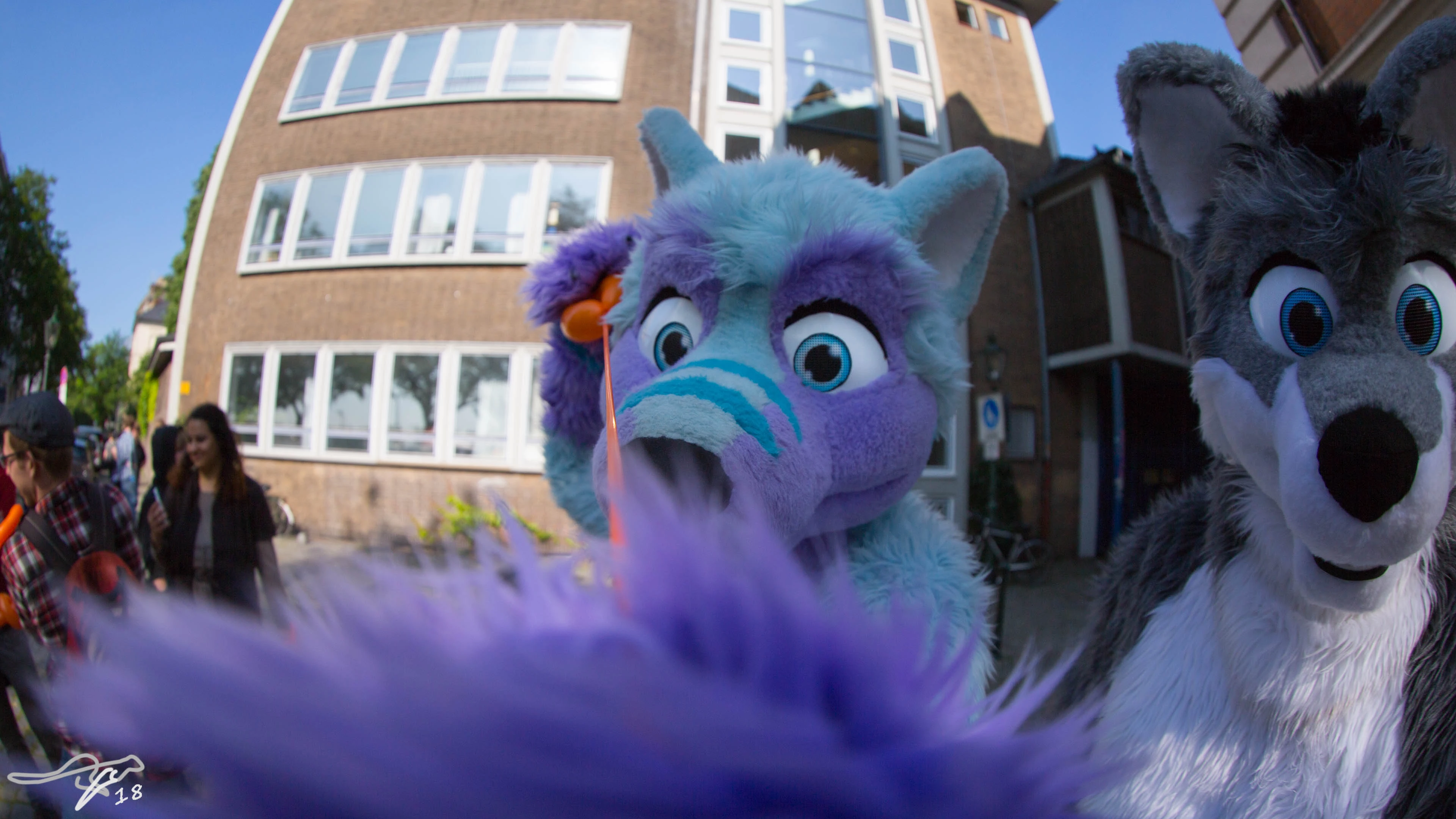 full image IMG_8131.jpg