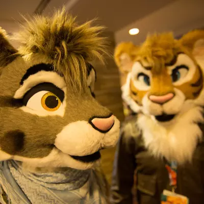 3B9C0052.jpg of cons/MFF-2018/