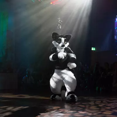 3B9C7733.jpg of cons/Eurofurence-22/