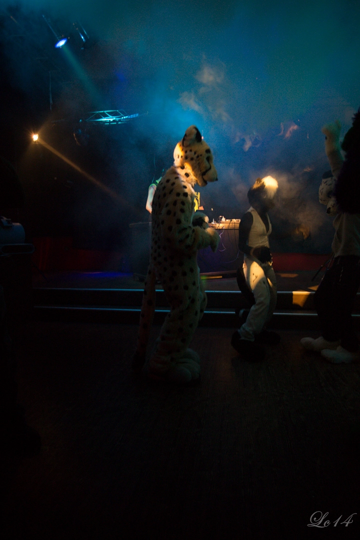 full image nfd4-26.jpg