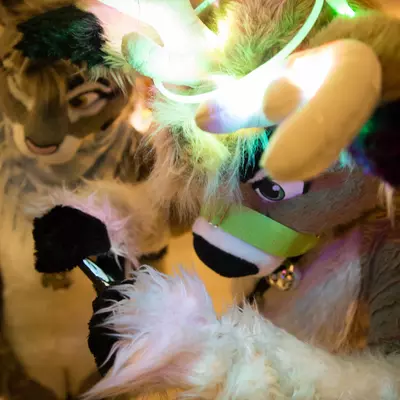 3B9C9966.jpg of cons/MFF-2018/