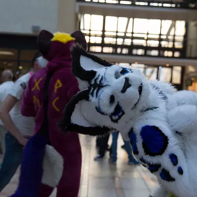 3B9C4130.jpg of cons/Eurofurence-21/