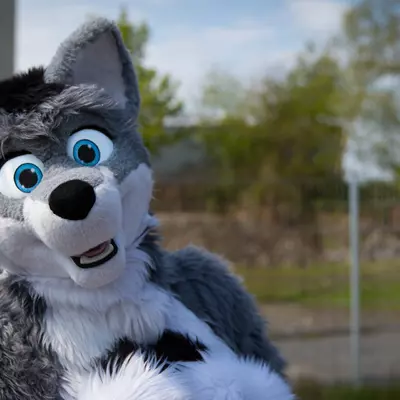 3B9C6300.jpg of cons/Fursuit-Bungeejumping-2016/
