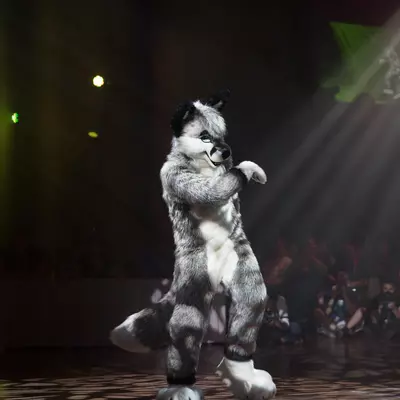 3B9C7568.jpg of cons/Eurofurence-22/