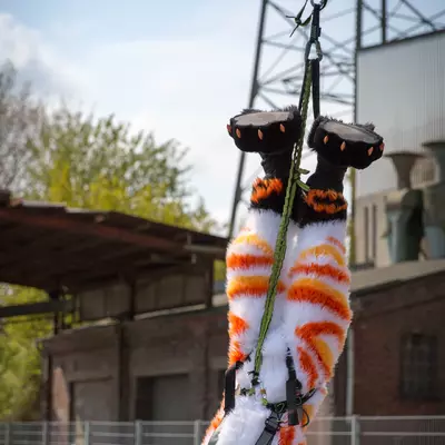 3B9C6272.jpg of cons/Fursuit-Bungeejumping-2016/