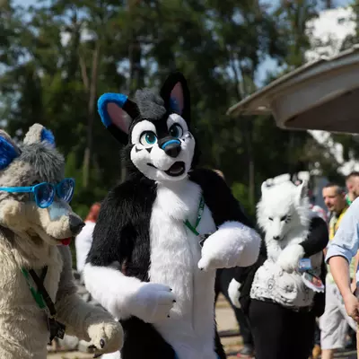 3B9C3311.jpg of cons/Eurofurence-21/