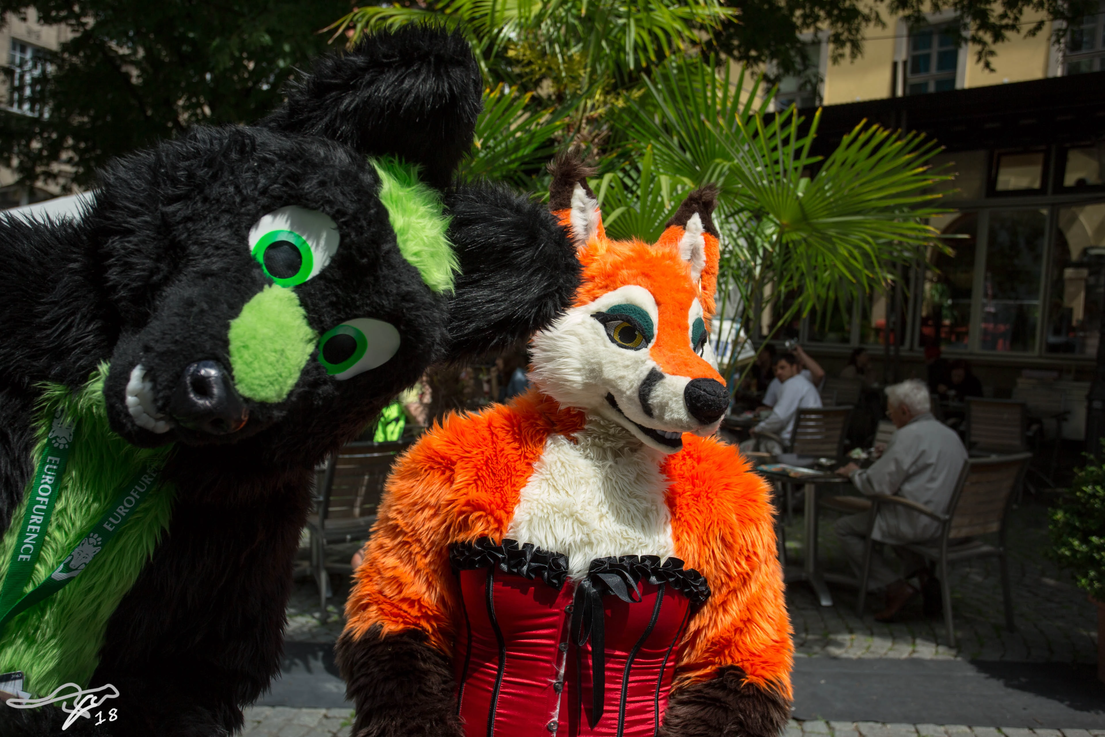 full image IMG_8531.jpg