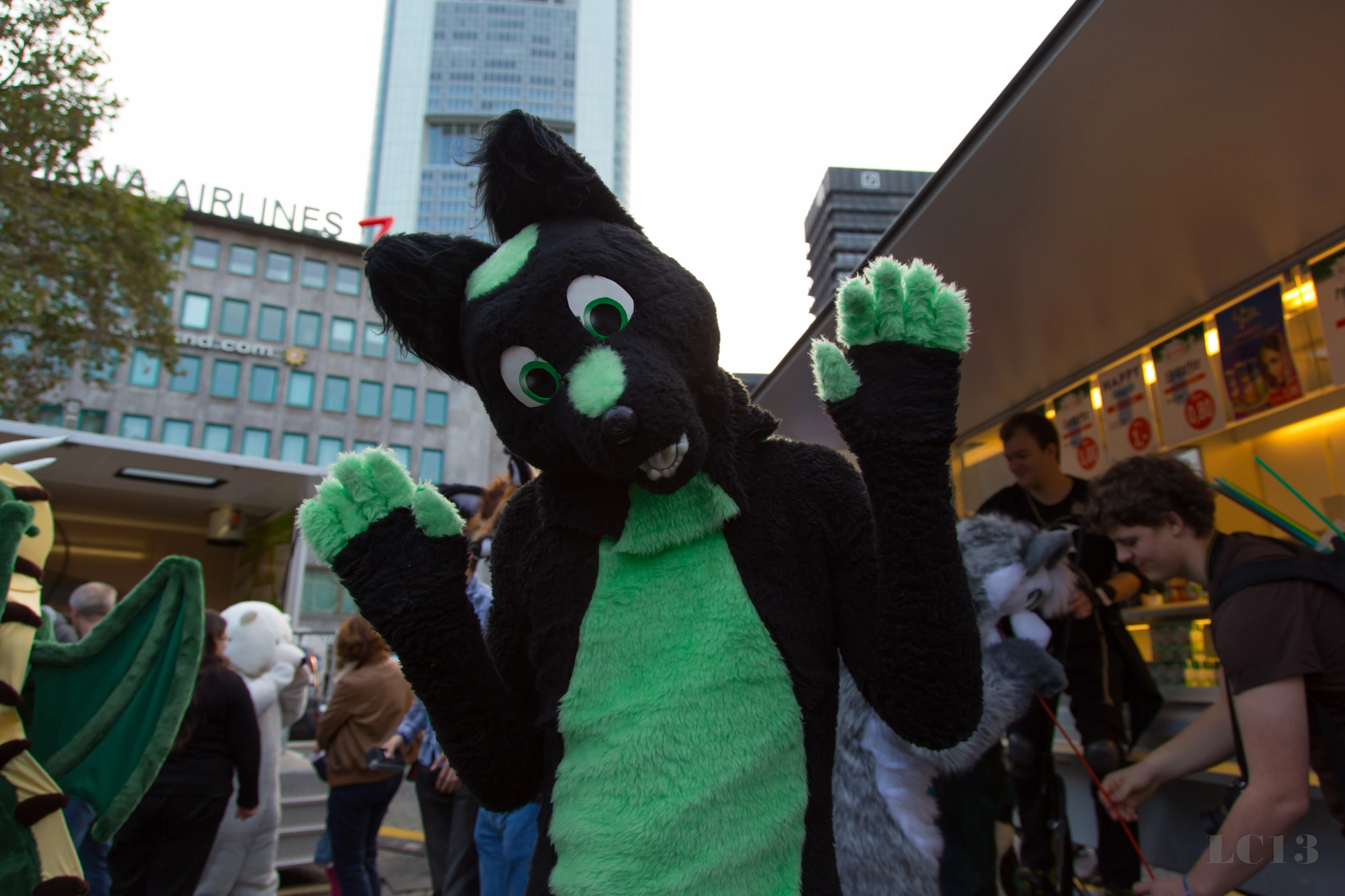 full image img-31.jpg