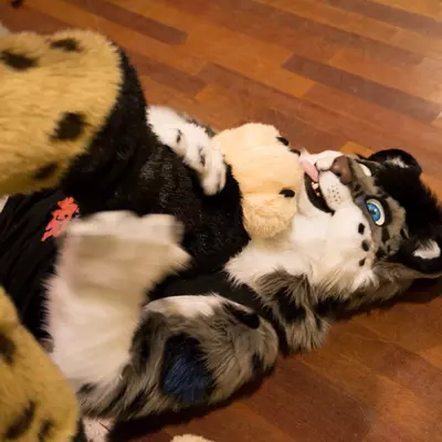 3B9C9952.jpg of cons/Eurofurence-24/