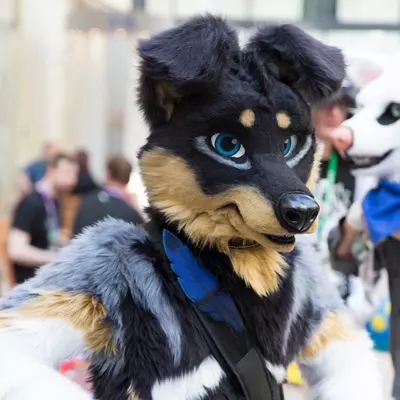 3B9C2903.jpg of cons/Eurofurence-21/