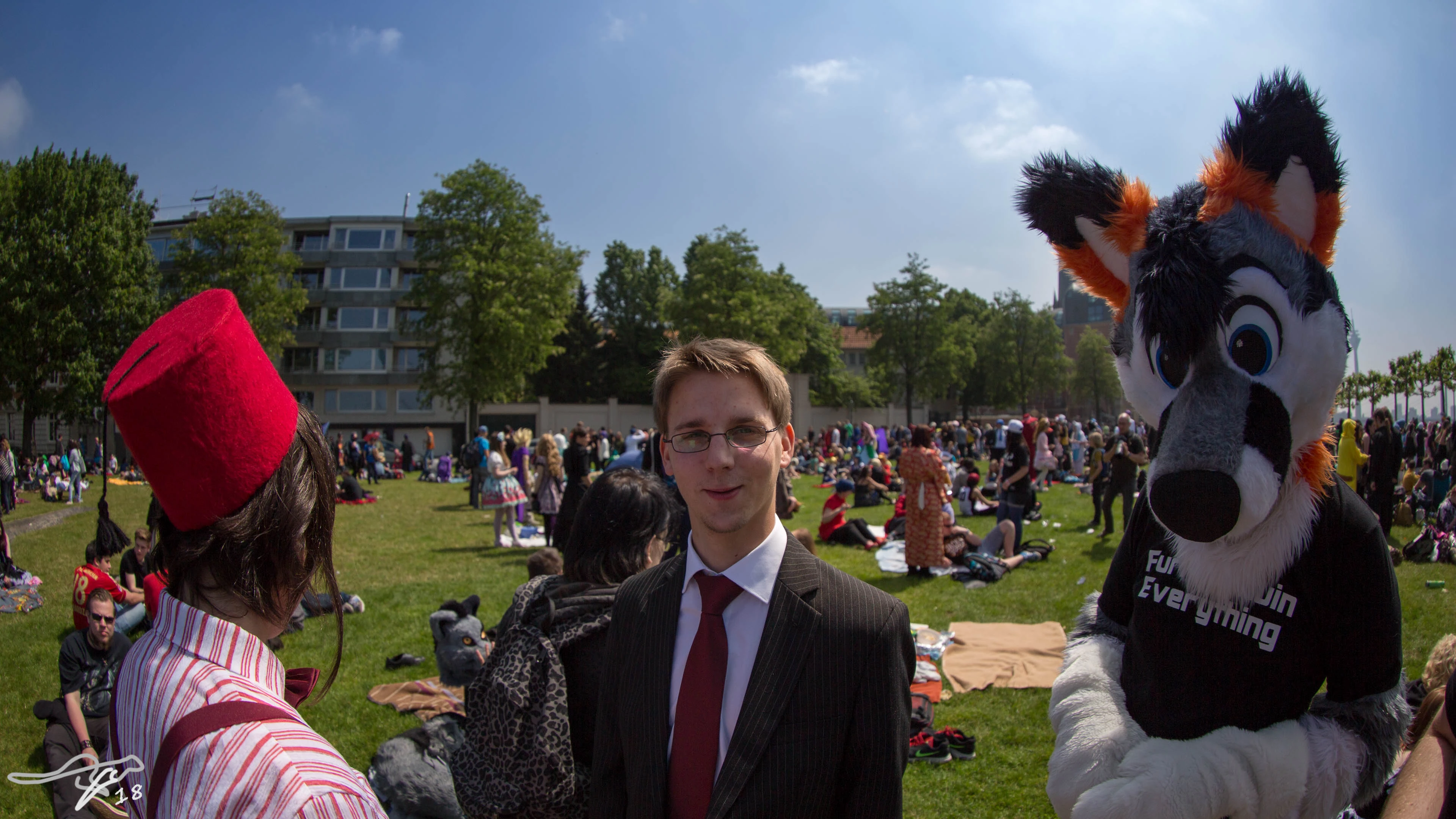 full image IMG_8014.jpg