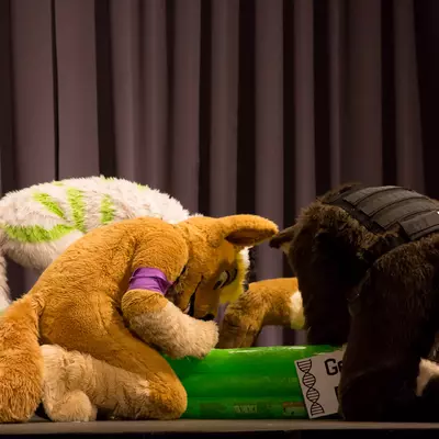 3B9C0617.jpg of cons/Eurofurence-20/
