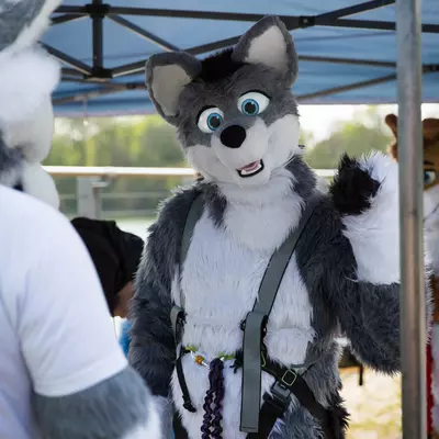 3B9C6276.jpg of cons/Fursuit-Bungeejumping-2016/