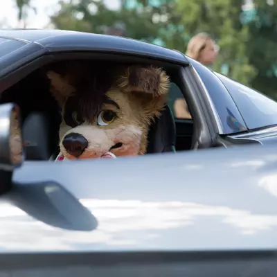 3B9C3394.jpg of cons/Eurofurence-21/