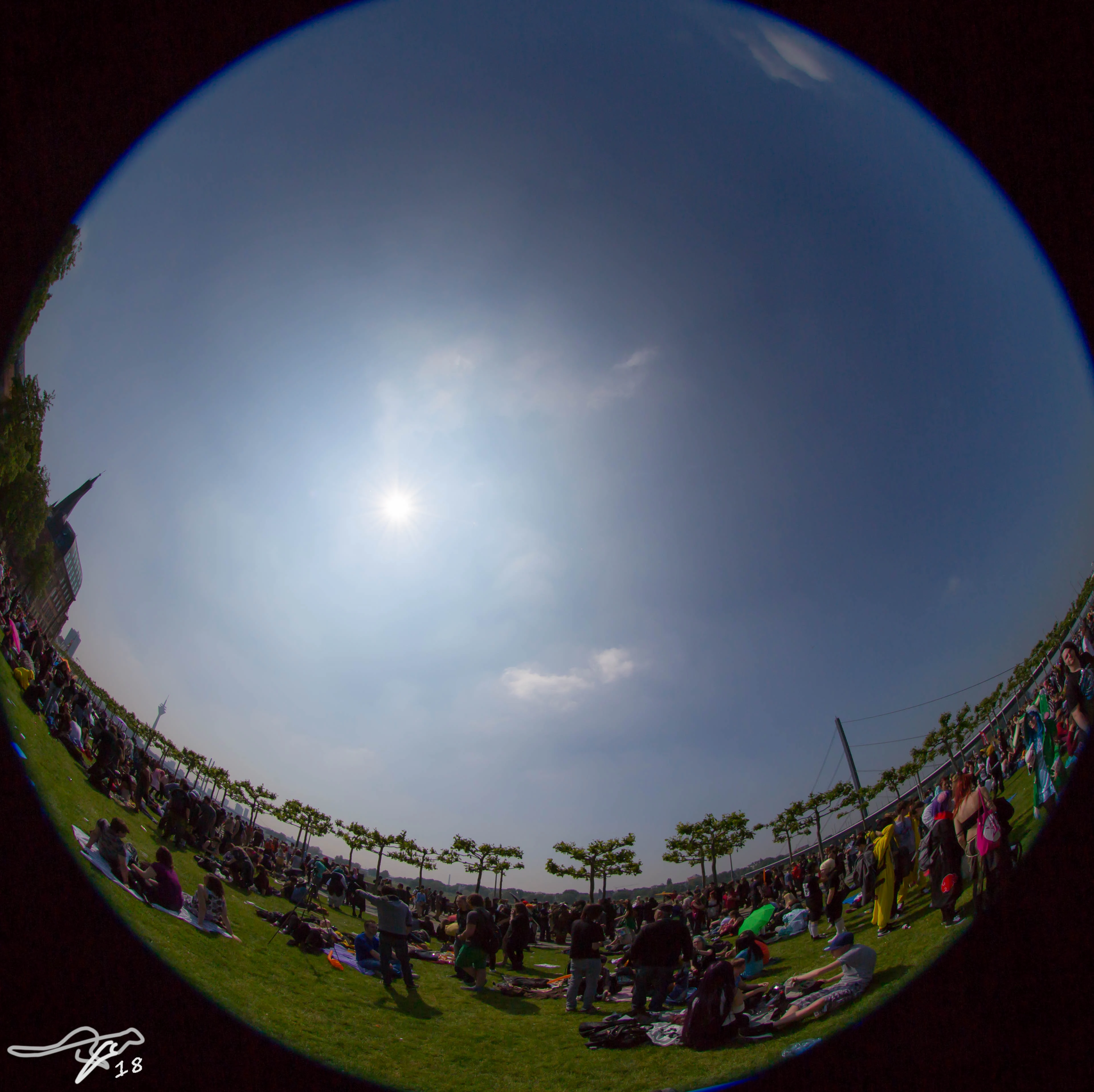 full image IMG_8064.jpg