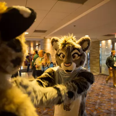 3B9C0061.jpg of cons/MFF-2018/