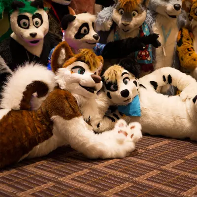 3B9C0098.jpg of cons/MFF-2018/