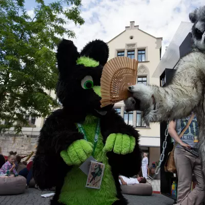 IMG_8733.jpg of cons/Fursuitwalk-Coburg-2014/
