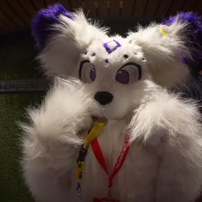 3B9C0482.jpg of cons/Furrave-5/