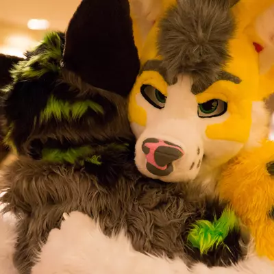 3B9C9913.jpg of cons/Eurofurence-24/