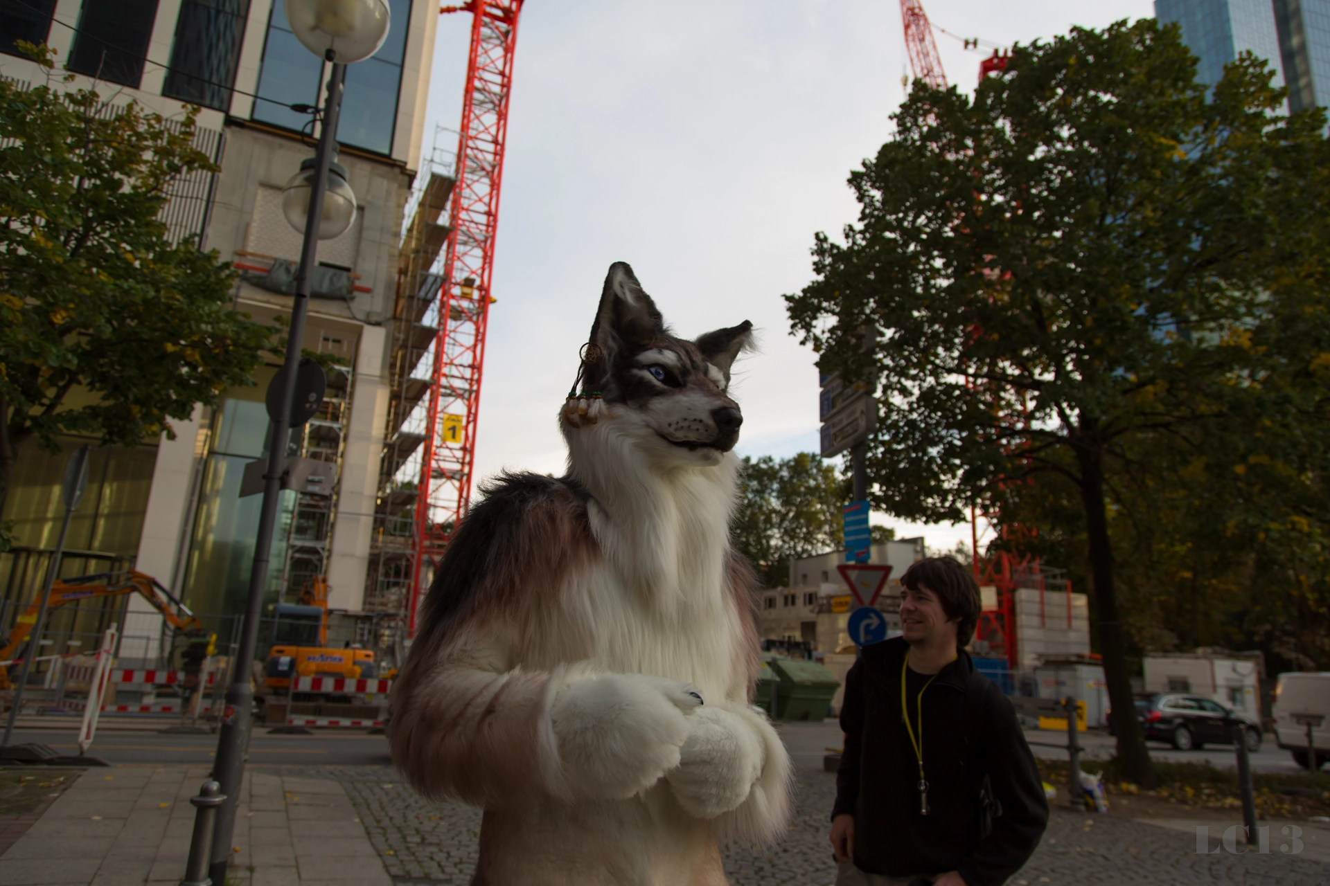full image img-45.jpg