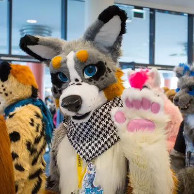 3B9C9593.jpg of cons/Eurofurence-20/