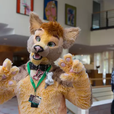3B9C2901.jpg of cons/Eurofurence-21/