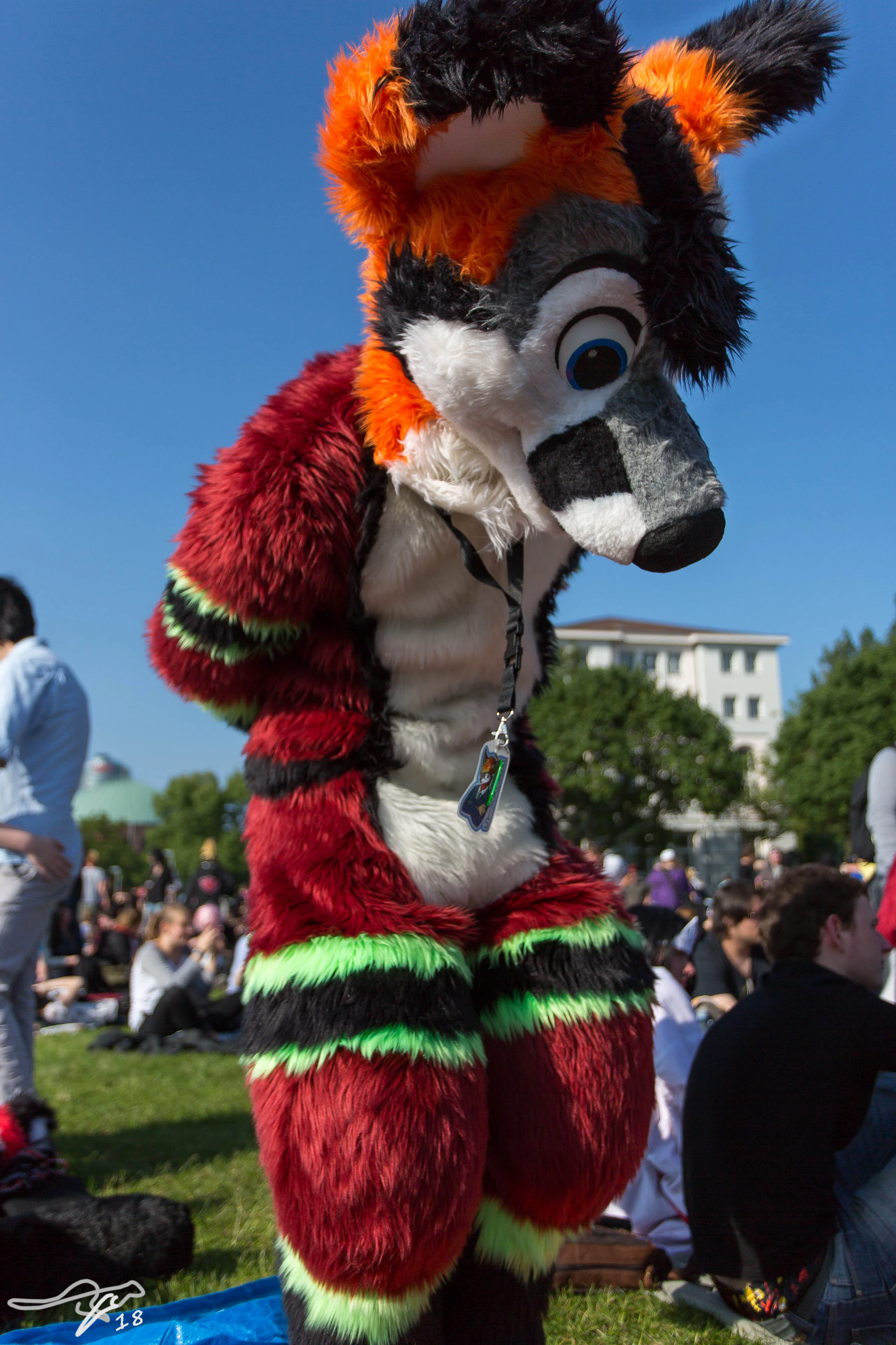full image IMG_8224.jpg