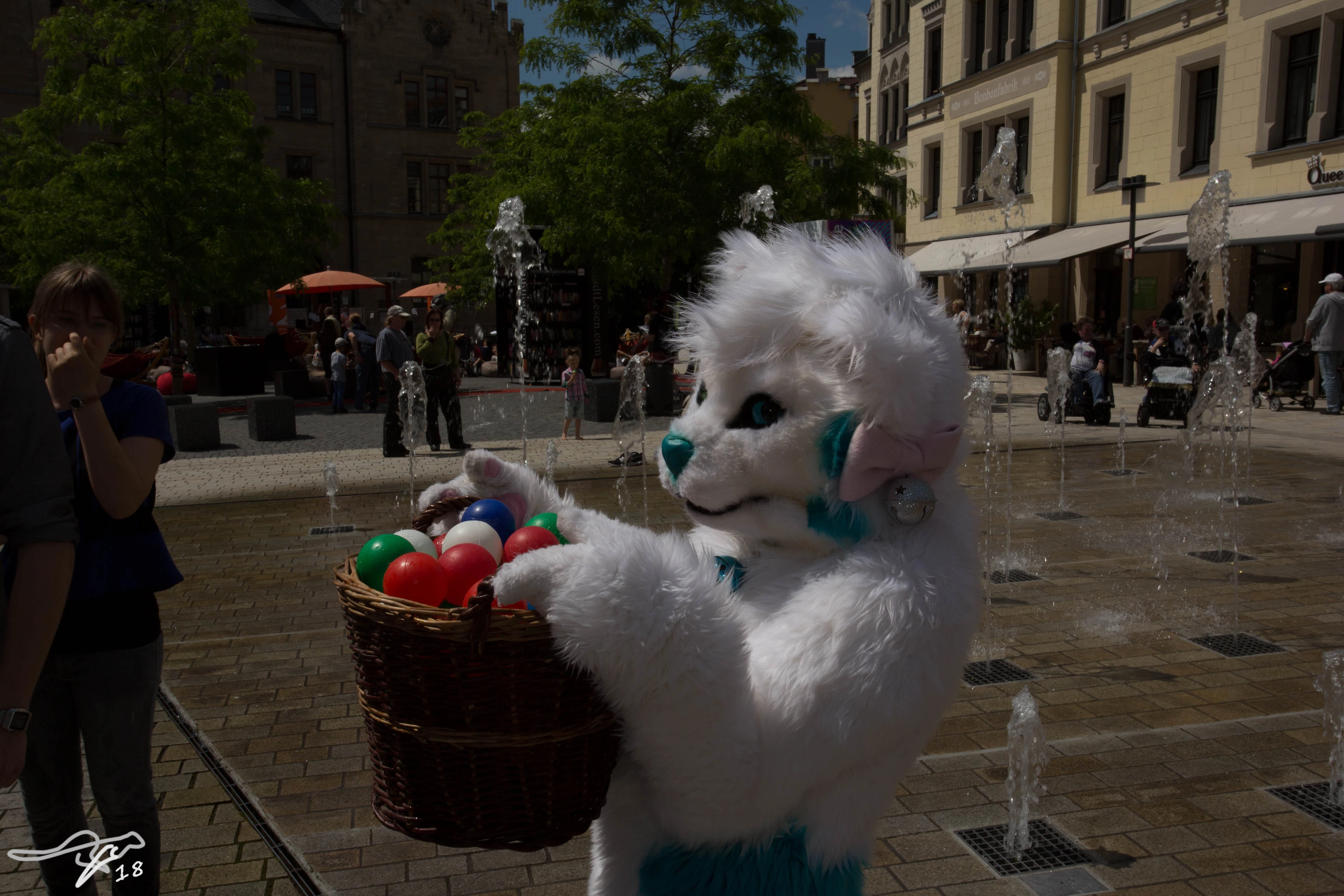 full image IMG_8669.jpg