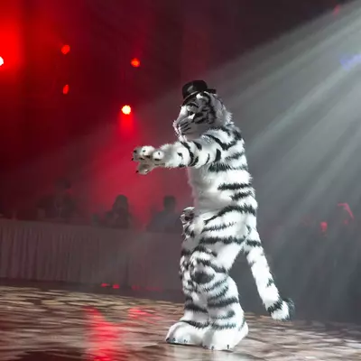 3B9C7492.jpg of cons/Eurofurence-22/