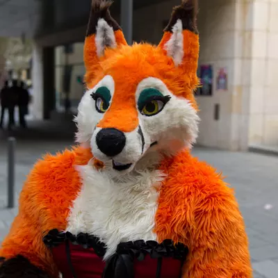 img-4.jpg of cons/Fursuitwalk-Frankfurt-2013/