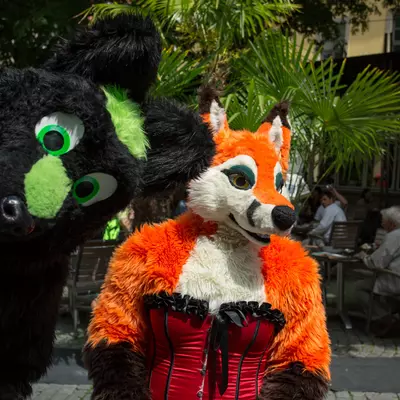 IMG_8531.jpg of cons/Fursuitwalk-Coburg-2014/