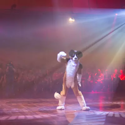 3B9C3703.jpg of cons/Eurofurence-21/
